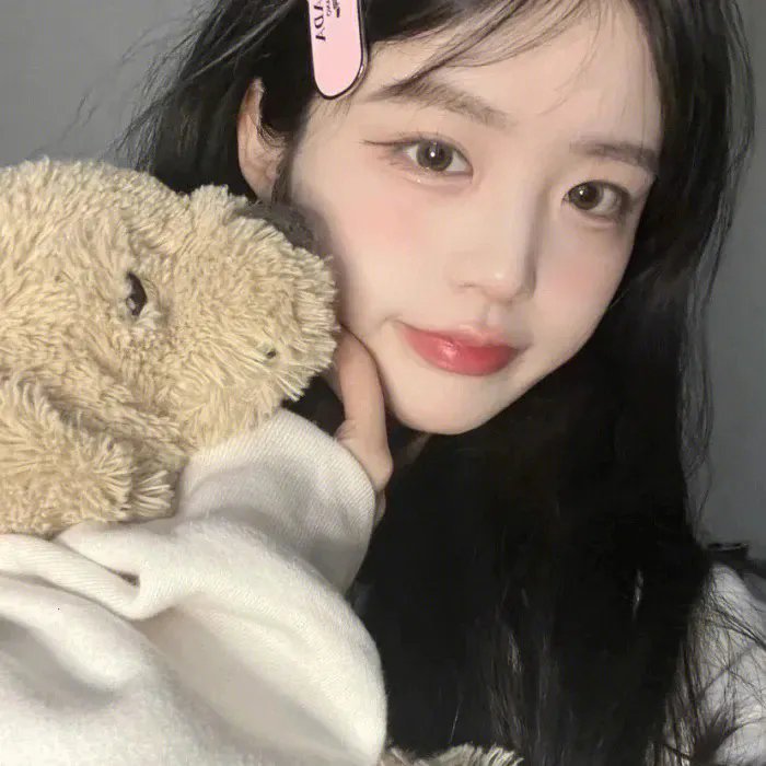 玩具熊的五夜后宫
